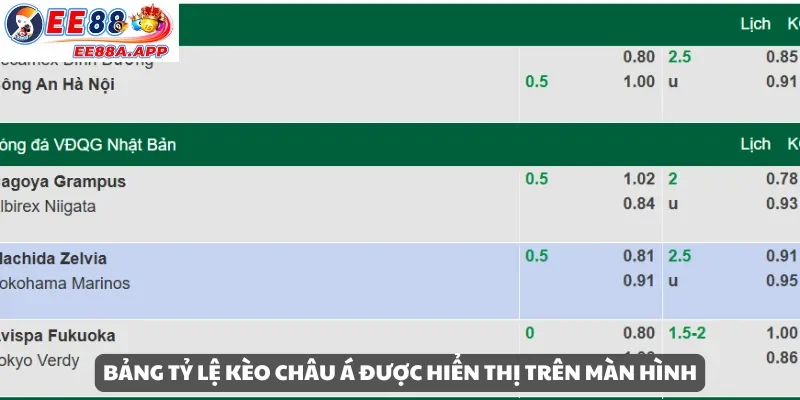 Bảng tỷ lệ kèo châu Á hiển thị trên màn hình