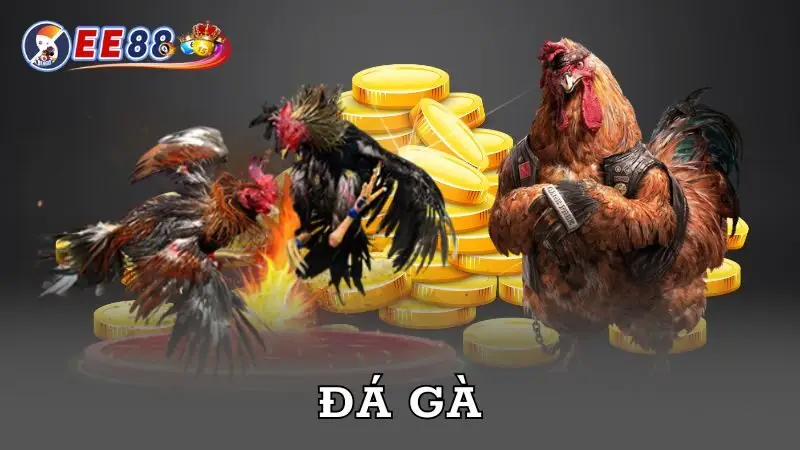 đá gà ee88 ảnh đại diện