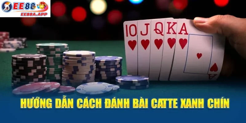 Hướng dẫn chi tiết đánh bài Catte xanh chín