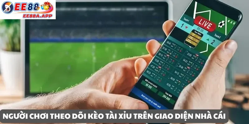 Người chơi theo dõi kèo tài xỉu trên giao diện nhà cái trực tuyến