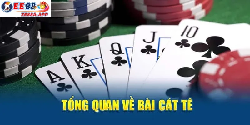 Tổng quan về bài catte