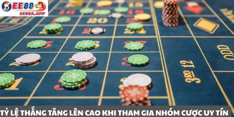 Tỷ lệ thắng được tăng cao khi theo nhóm cược