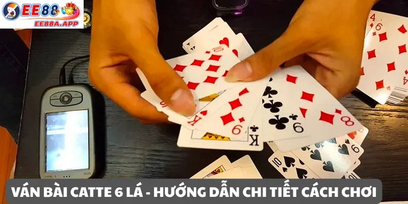 Ván bài catte 6 lá – Hướng dẫn chi tiết cách chơi 
